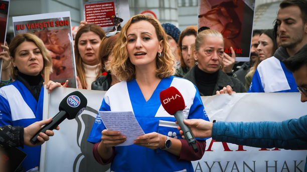 Animal lovers and activists who came together with the call of the Animal Rights Federation in Izmir, protested the animal massacres in Turkey. Video footage that contains graphic image of an officer worker in an animal shelter belonging to Konya Metropolitan Municipality, torturing and killing a dog in the shelter, appeared on social media on November 24 and caused reactions all over Turkey. An investigation was launched after the footage that caused indignation. Two people were detained and arrested as a result of the investigation.