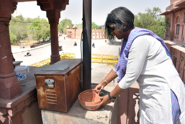BIKANER--15.05.2024
Bikaner: Bikaner District Collector Namrata Vrishni fills a pot with water for birds during hot summers day in Bikaner 
DINESH GUPTA BIKANER-09414253300