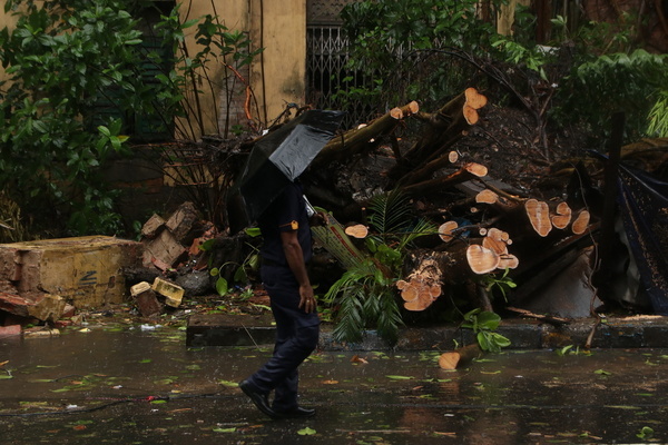 At least seven people were killed and millions were left without power as Cyclone ‘Remal’ lashed the coasts of Bangladesh with devastating winds of up to 120 kph and storm surges, inundating hundreds of villages. ‘Remal’ weakened into a cyclonic storm on May 27 morning, sustaining wind speeds of 80-90 kilometres per hour, following landfall around midnight of Sunday, the Met Department said.

“It lay centered at 01:30 hrs IST of today, the 27th May, 2024 over Coastal Bangladesh and adjoining Coastal West Bengal, near latitude 21.9°N and longitude 89,2°E about 115 km east of Sagar Islands (West Bengal), 105 km west-southwest of Khepupara (Bangladesh), 70 km southeast of Canning (West Bengal) and SO km south-southwest of Mongla (Bangladesh), The system would continue to move nearly northwards for some more time and then north-northeastwards and weaken gradually into a Cyclonic Storm by morning of May 27,” said IMD in a post on X, 
Flights resume at Kolkata’s Netaji Subhas Chandra Bose on May 27 morning. The airport services were suspended for almost 20 hours since yesterday. Train services resumed in South section of Sealdah Division at 9 a.m.

Remal left a trail of destruction in its wake. Roofs of thatched huts were blown away, trees uprooted and electric poles knocked down, causing significant disruption in various parts of the state, including Kolkata.

“56 trees uprooted, attempts to remove the trees on,” said Kolkata Municipal Corporal Mayor Firhad Hakim.