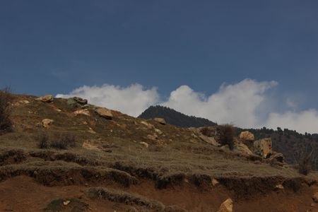 Astanmarg, an enriching tourist destination on top of the Zabarwan range of Srinagar Indian side of Kashmir is outstanding amongst other stunning spots to visit. What separates this spot from the remaining spots is that it stays obscure to a large portion of local people of the city and the tourists visiting Indian side of Kashmir, located just 24 kilometers from the city centre Lal Chowk, this spot furnishes a variety of grand perspectives with Dal Lake, Dargah shrine and numerous other places, 
 An uphill 3 kilometers drive from the prominent Harwan garden. It has a cheerful spot for the people who want to leave the busy city life behind and find moment of peace. Kashmir valley has a relatively undiscovered tourism industry, some places might be well known but there are many places which are still mysterious to the people and Astanmarg can be considered one of them.