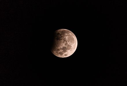 A Partial Lunar Eclipse or 'Chandra Grahan', the rare celestial event took place at night in Tehatta, West Bengal, India on October 29, 2023. The Hunter's Moon (The full moon that occurs in October), Lunar Eclipse starts at 01:05 AM (IST) and ends at 02:24 AM (IST). The maximum occurs at 01:45 AM IST when 12 % of the Moon's disk is covered by Earth's umbra (the dark part of the planet's shadow). The Lunar Eclipse is considered an inauspicious event in India. Here the Partial Lunar Eclipse is seen through the gaps in the branches and leaves of the trees in a forest.