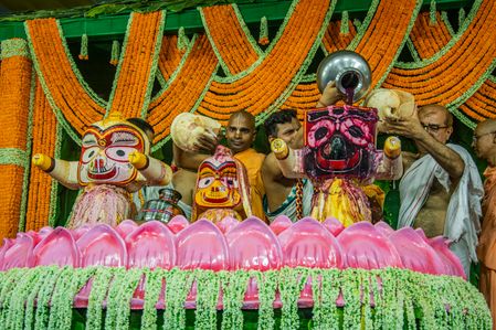 On this full-moon day, sixteen days before Ratha- yatra, Lord Jagannatha is bathed. He becomes sick and is confined to rest for fourteen days. He is then offered special care until He comes out for Ratha-yatra. The Snan yatra bathing ceremony of Lord Jagannath has become one of the most popular festivals on the Iskcon calendar over the years since His Divine Grace Srila A.C. Bhaktivedanta Swami Prabhupad introduced it to the world outside of India. Traditionally this festival has been going on since the time of the carving of the 'Dharu-brahman' Deities of Lord Jagannath, Lord Balaram, and Lady Subhadra in Sri Purushottam Kshetra (Jagannath Puri) thousands of years ago, commemorating Their sacred appearance for Their devotees – primarily the saintly King Maharaj Indradyumna.
Many of you would know that after the bathing ceremony the Lord catches a transcendental chill, are fed sweet foods and drinks to break Their fever, and then retires for Their 'Anavasara kala' – recuperation period. In Jagannath Puri where the Deities are painted with natural mineral paints, after the bathing ceremony the paints have a tendency to run and the Deities would be not viewable to the general public. So to allow the devotees to partake further in the Lord's pastimes, They made a special arrangement with one 'brahmin' who came to visit to take 'darshan' at this time. Lord Sri Krishna, Jagannath is the Lord of the Universe and so in essence is the original creator of everything, nothing exists without Him. In one sense then everything is Him, at least coming from Him. Just as in the creation of a by-product from an original source the by-product has it’s existence by association with the original object. Shastra gives the example of milk being transformed into yogurt for a functionary analogy of Krishna being like the original source (milk in this case) and Lord Shiva being like yogurt, having come in contact with a culture for his functionary activities in the material world. The milk therefore in one sense created yogurt, but that yogurt can never again become milk. Therefore it, although one in origin, it is different, becoming secondary or mutated potency and therefore lesser in potency and function.
Sripad Shankaracarya taught a very dangerous philosophy called pancopasika (païcopasana – Chaitanya Chairitamrta Adi-lila 7:151. Purport; Madhya-lila 9:360. purport), which wrongly inferred that the Lord and His primary creation, and the predominating Deities of it were equal in potency to Him. He said that Lord Vishnu, Ganesh, Shiva, Surya, Laxmi (Durga, Kali, Saraswati) were/are equal which to us, and to Lord Vishnu is to be considered as a grave offense (civasya cré-vinëor ya iha guëa-namadi-sakalaa / dhiya bhinnaa pacyet sa khalu hari-namahita-karaù. – Padma Purana.) After the Snana Yatra, the Deities are kept away from public view for fifteen days and during all these days the daily rites of the temple remain suspended. As Jagannatha himself instructed, after this ceremony, he is not seen for a fortnight. The Deities are kept on a special "sick room" called the Ratan vedi inside the temple. This period is called 'Anabasara kala' meaning improper time for worship. It has been said earlier that the Deities are discoloured as a result of the sacred bath – some say look a bit off colour. During these fifteen days the Daitas (descendants of Viswavasu, the Savara) repaint and restore the Deities and Jagannath's fine decorations. The period of colouring and decorating the Deities is divided into seven short periods, each of two days duration, and a short period of one day set apart to give finishing touches. Thus the period covers the whole fortnight. On the 16th day the Deities in their new forms after renovation become ready for the public view – darshan. The festival of the first appearance of the Lord Jagannath to his devotees is called Netrotsava (festival for the eyes) or Nava Yauvanotsava (festival of the ever new youth). According to priests of the Jagannath temple the devotee washes away all his sins if he gets a vision of the Lord on this day. On this occasion, therefore, great rush of people occurs in the temple.
