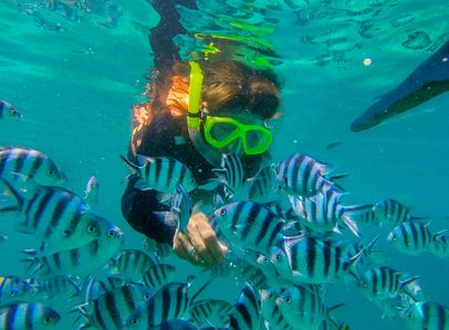 This summer, tourists will continue to visit to experience the beauty of nature, just as this tourist is excited to feed the fish by underwater in Kayangan Lake, Coron Palawan. 
Underwater photography: Edd Castro