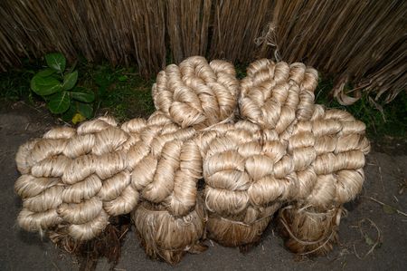 The Asia Pacific region, led by major jute producer India, dominates the Jute Bags Market. India's rich production capabilities, coupled with the global shift towards eco-friendly alternatives, have contributed to the region's leadership. But India's jute industry is set to see revenue fall 5-6% this fiscal because of lower exports, marking the second consecutive year of decline, according to CRISIL (Credit Rating Information Services of India Limited) Ratings. However, domestic demand is expected to be stable. Exports, which form a third of the sector's revenue of Rs 12,000 crore, are seen 15% lower this fiscal after falling 8% last fiscal as overseas channel partners continue to destock amid slowdown worries in the US and Europe. Here Jute is cut and tied to the banks of the Jalangi River for shedding leaves and some of the fiber from the jute rotted in the river water is taken by laborers to be dried before sale in the market. But for the past few days, many fish have died due to the rotten water in the river and environmentalists have objected to the administration at Tehatta, West Bengal, India on 27/08/2023