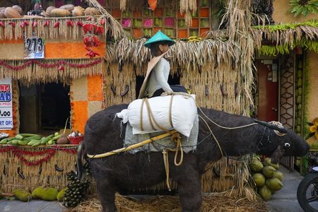 Festival is the most colorful harvest festival in the Philippines in which houses are adorned with kiping (a traditional Filipino leaf-shaped wafer made from glutinous rice), vegetables, fruits and other agricultural materials. The festival is a thanksgiving to San Isidro Labrador for a bounty harvest.