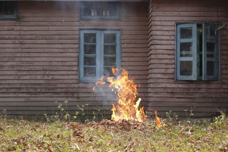 Autumn is the season which comes between summer and winter, also known as the season of fall in autumn season temperature starts to decrease. In autumn season leaves fall from the trees.