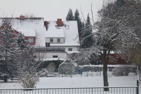 Snow falls in Göttingen, Germany. Heavy snowfall has affected life in Germany.