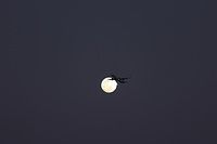 Full Moon in New Delhi India