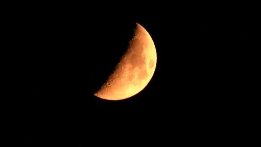 Detail scene of a first quarter of the Moon in the dark of city landscape.