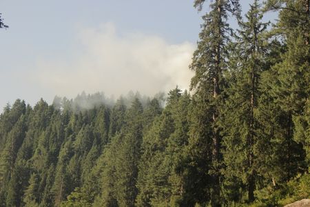 Kashmir valley never disappoints people in terms of nature. The valley is known for its adventure and landscape, making it an perfect location for campers and adventure lover's all over the world. There are many places in Kashmir that are suitable for camping like Sonmarg, Pahalgam, Gulmarg, And the great seven lakes which starts from Gangbal. These places give peaceful environment, Which allows people to connect with the nature more. For most of the people camping is not just pitching tents and spending nights under an open sky, it is more than that. it is that time when people get to know the local culture and lifestyle.