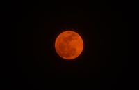 India: May&#039;s Flower Moon