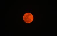 India: May&#039;s Flower Moon