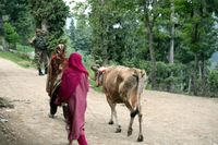 Three terrorists have been killed in an encounter with security forces in Jammu and Kashmir