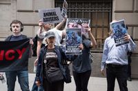Activists staged rally to protest usage of animal fur and against animal cruelty