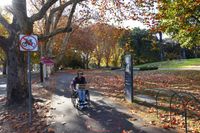Stunning view of the autumn trees near Shrine of Remembrance in Melbourne