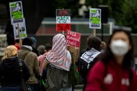 Protestors Gather Protest ICE Attempt to Deport Student