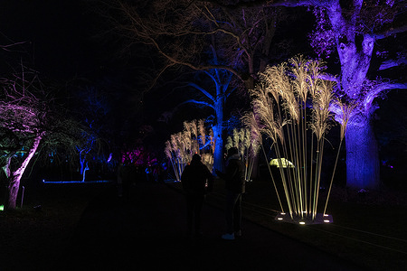 Brooklyn Botanic Garden holidays light show produced by WAD Entertainment and Sony Music. This winter Brooklyn Botanic Garden created for the first time a light show during holidays.Spectacular show is visited by thousands of people during Catholic Christmas, New Year and Orthodox Christmas holidays and will run till January 9, 2022.