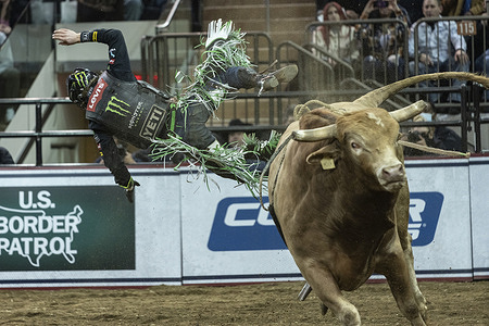 Derek Kolbaba of Walla Walla, Washington rides a bull during 2nd day of PBR (Professional Bull Riders) Unleash The Beast at Madison Square Garden. This is an annual event, which was canceled in 2021 because of COVID-19 pandemic and returned this year with COVID protocol in place.