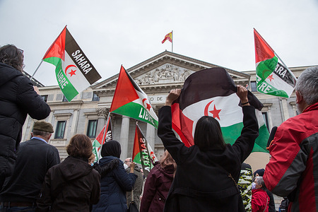 Saharawis protest against Pedro Sanchez and ask for a referendum of self-determination in Western Sahara at the gates of the Spanish Parliament
