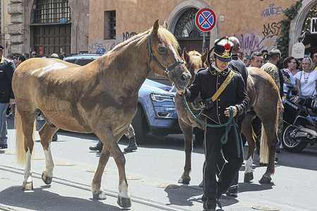 Italian Republic Day in Rome. After two years of pandemic, the celebrations with the parade took place on 2 June on the occasion of the anniversary of the Republic Day with the presence of the Institutions. In the photos the Parade at the Imperial Forums of the Red Cross, Police, Bersaglieri, Crocedrossine, Carabinieri on horseback and others.