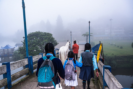 Students go to school in the dense fog and pine forest on a rainy day through the Rainbow Bridge (Indreni Pull) on the 1.25-kilometres (0.78 mi) long famous Mirik Lake (Sumendu Lake) in Mirik, West Bengal. The literacy rate of Mirik is 88.38 % higher than the state (West Bengal) average of 76.26 %. In Mirik, female literacy is around 83.13% while the male literacy rate is 93.77 %.
