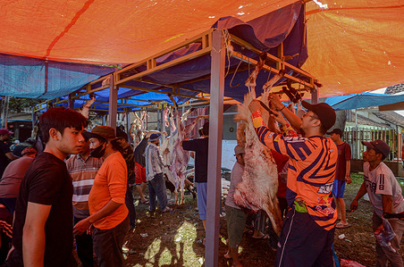 Muslims slaughter livestock in the form of cows and goats during the Eid al-Adha celebration in the city of Malang.