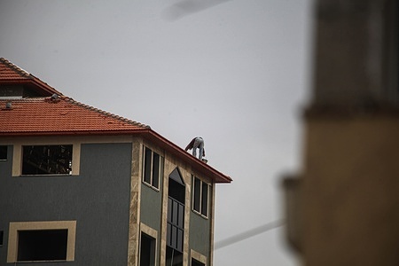 Daily life in Beit Lahia, dangerous hard work for workers on the top of residential building, in Gaza City on November 27, 2022.