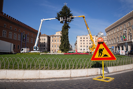 A moment of setting up Christmas Tree in Piazza Venezia in Rome.