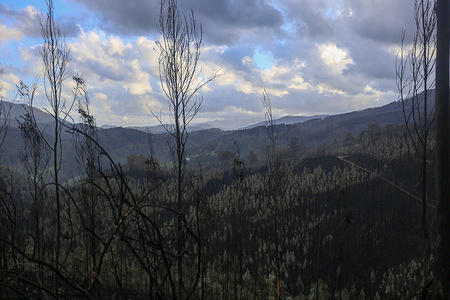 Lago, SPAIN: Aspect of the landscape after the fires during the fires in Asturias are going out, on April 01, 2023, in Lago, Spain.
