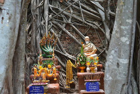 The Wat Sang Kratai, Ang Thong Province Located about 120 kilometers north of Bangkok, the highlight is the old ordination hall, over 500 years old, covered with a large Bodhi tree, inside the ordination hall, there are Buddha images, and sacred objects, this temple is expected to be built before the Ayutthaya period At present, there are no monks to stay in the Buddhist Lent. There are locals and tourists. who have faith, come to worship and pay homage to the prosperity of life.