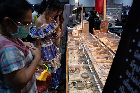 Various species of snakes were exhibited and sold at "PET EXPO CHAMPIONSHIP 2023" exhibition, at Queen Sirikit National Convention Center, Ratchadaphisek Road, Bangkok on August 12, 2023.