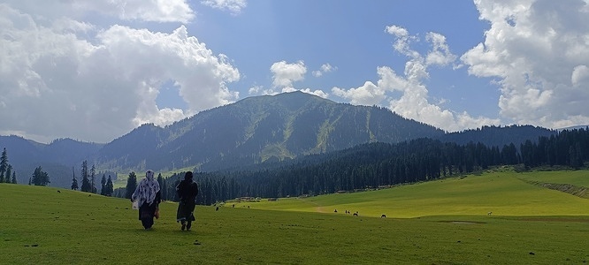 "Dhodhpathri" actually are two words which means milk and pathri means meadows, it is the milky meadow tourist attraction of Kashmir valley. Lush green meadows and mountains all around gives mesmerising view all around. The spot is situated in budgam area that is nearly 45 kilometres from summer capital of Kashmir that is Srinagar.