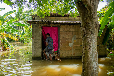 Resident and his dog visited their resident after few days of heavy rainfall at Malwana, outside the capital Colombo