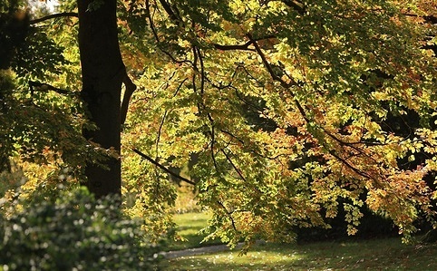 Autumn impressions in the Steglitz City Park in Berlin