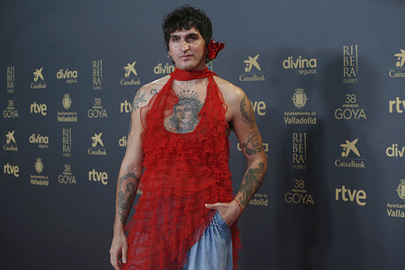 Daniel Fernandez Pozo, better known as 'La Dani' (Malaga, 1991), is a composer, producer, singer, hairdresser, and actress of non-binary gender, during a meeting with nominees for the Goya Awards in its 38th edition at Florida Park. Nominated for the Goya Awards as 'Best Newcomer', 'La Dani' received the Feroz Award for 'Best Supporting Actor' for her performance in the film 'Te estoy amando locamente', which portrays Seville in 1977 and the struggle for LGTBI rights amid the Spanish Transition. With an innovative perspective, 'La Dani' has addressed in his speech at the Feroz Awards the idea of genderless awards as "a dangerous dream", recognizing the importance of giving visibility to all identities.
