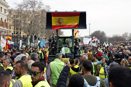 Half a thousand tractors and at least 100 buses arrived in Madrid to join the farmers' protests that are now two weeks old. Coming from several cities in the interior of the country, hundreds of farmers with their respective tractors arrived in the Spanish capital with the intention of standing in front of the Ministry of Agriculture. The unrest in the Spanish countryside, which for weeks has materialized with 'tractors raids' in the vast majority of Spanish cities, has reached Madrid. This Wednesday, at least 500 tractors, distributed in five columns and accompanied by about a hundred buses full of farmers, arrived in the capital with the aim of demonstrating in front of the Ministry of Agriculture. The tractors arrived from the surroundings of the capital to concentrate in a coordinated manner at the Puerta de Alcala (first point) from Torrejon de la Calzada, Arganda del Rey, Robregordo, El Espinar (Segovia) and Guadalajara. Spanish farmers and ranchers are protesting the crisis in the sector and the agricultural policies of the European Union, the Government and the Autonomous Communities.