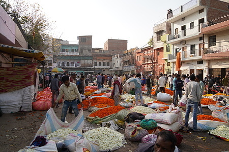 Daily life buzzes in the morning wholesale flower market of Kanpur, Uttar Pradesh. Hundreds convene to engage in wholesale transactions of flowers. The Shivala flower bazaar operates every day in the early morning for approximately six hours, facilitating the bustling trade of blooms.