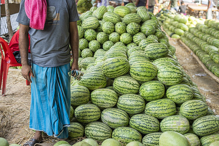 The demand for watermelon increases during the holy month of Ramadan. Watermelons brought from different places are arranged for sale at wholesale rates. From here traders buy watermelons and take them to different markets.